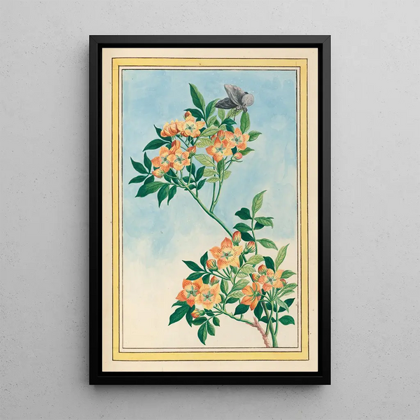 Chinese Plants Painting Pl057 - Pierre Joseph Buchoz — framed artwork on a wall
