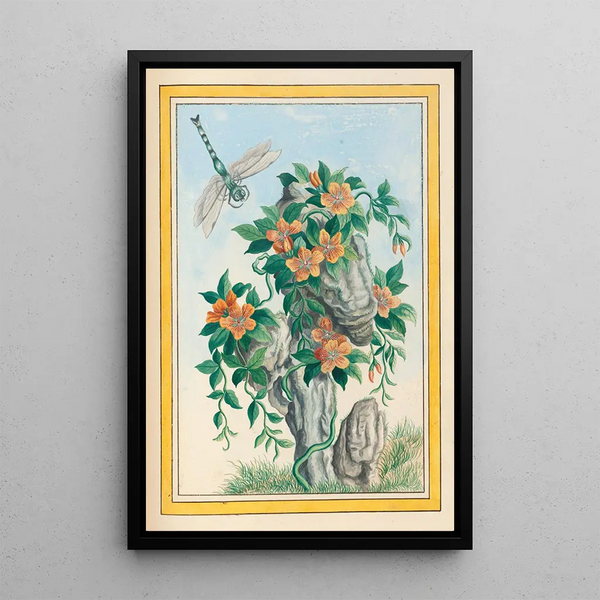Plants of China Pl058 - Pierre Joseph Buchoz — framed artwork on a wall