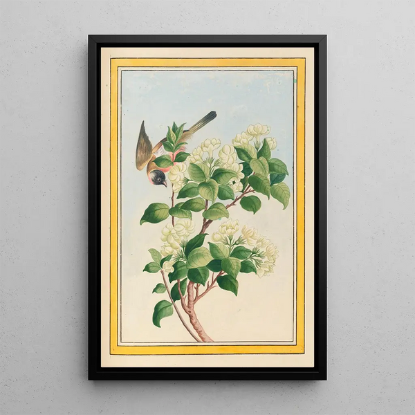 Chinese Plants Painting Pl059 - Pierre Joseph Buchoz — framed artwork on a wall