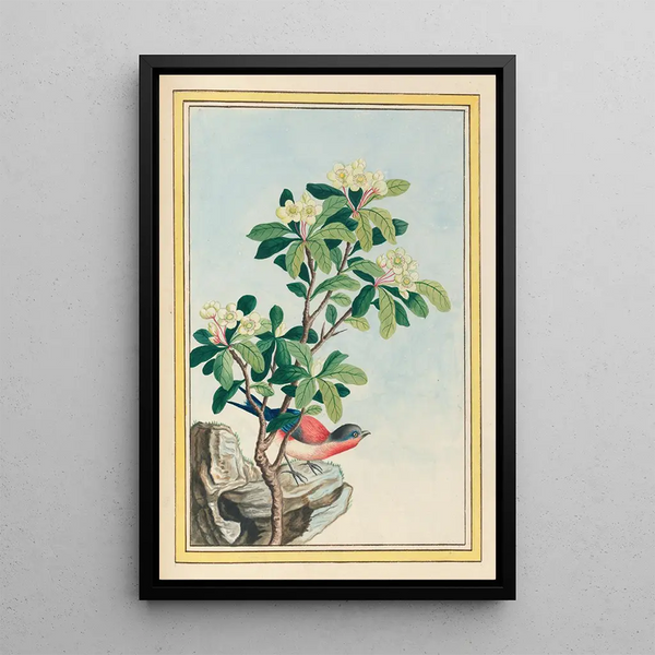 Chinese Plants Painting Pl060 - Pierre Joseph Buchoz — framed artwork on a wall