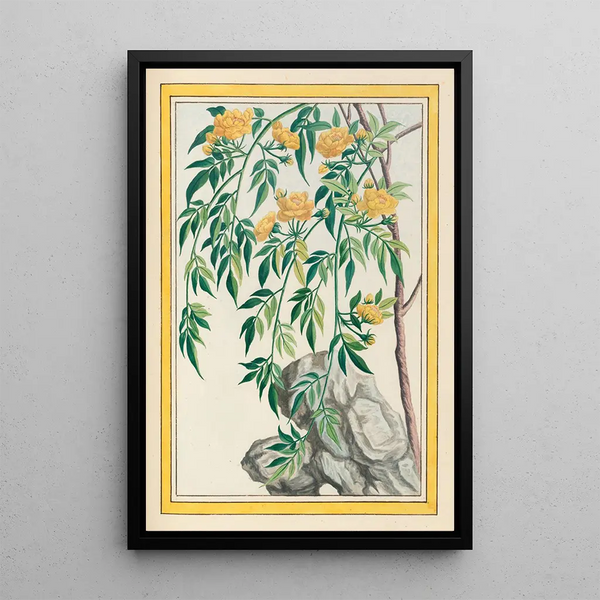 Chinese Plants Painting Pl061 - Pierre Joseph Buchoz — framed artwork on a wall