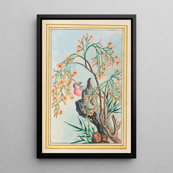 Plants of China Pl062 - Pierre Joseph Buchoz — framed artwork on a wall