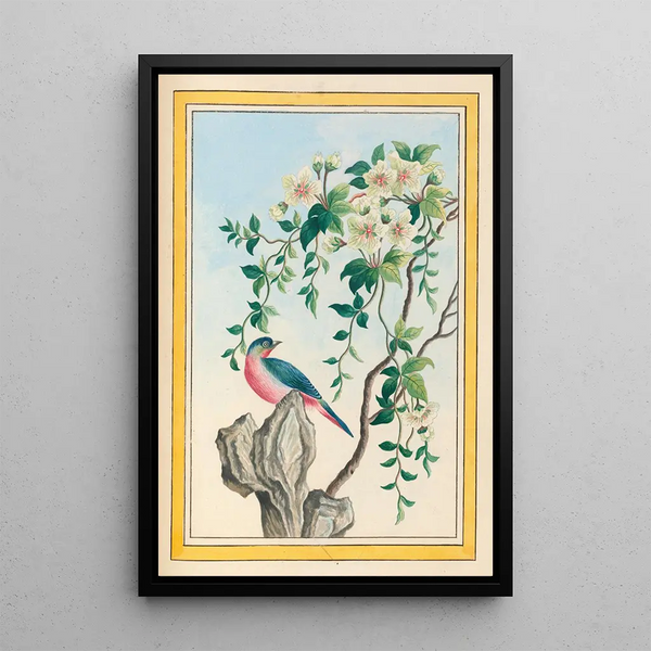 Chinese Plants Painting Pl063 - Pierre Joseph Buchoz — framed artwork on a wall