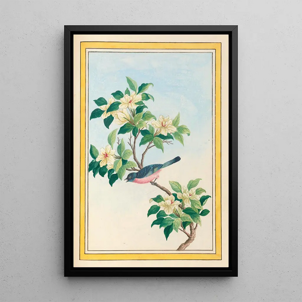 Chinese Plants Painting Pl064 - Pierre Joseph Buchoz — framed artwork on a wall