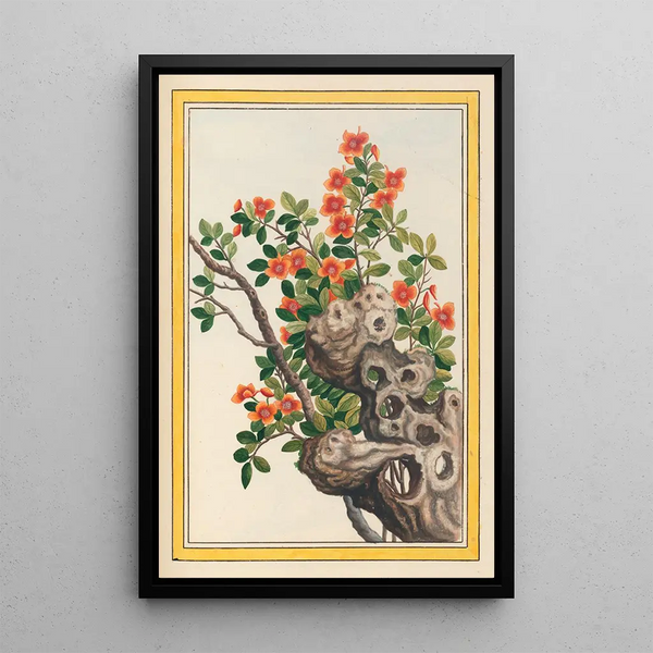 Plants of China Pl066 - Pierre Joseph Buchoz — framed artwork on a wall