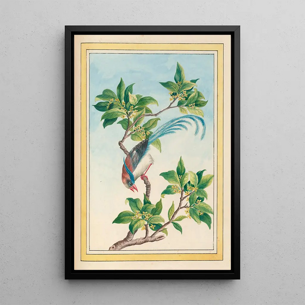 Plants of China Pl067 - Pierre Joseph Buchoz — framed artwork on a wall