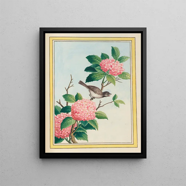 Plants of China Pl.070 - Pierre Joseph Buchoz — framed artwork on a wall