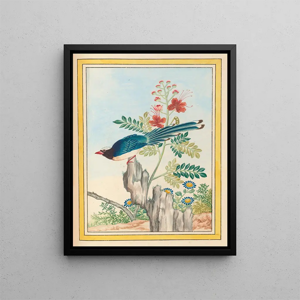 Plants of China Pl.071 - Pierre Joseph Buchoz — framed artwork on a wall