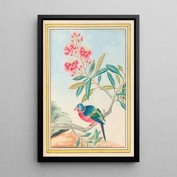 Plants of China Pl072 - Pierre Joseph Buchoz — framed artwork on a wall