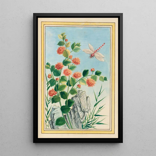 Pierre Joseph Buchoz - Plantes de Chine Pl073.webp