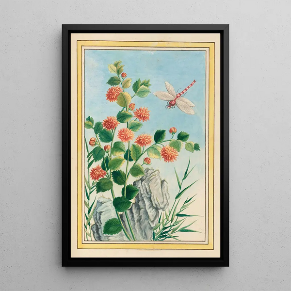 Plants of China Pl073 - Pierre Joseph Buchoz — framed artwork on a wall
