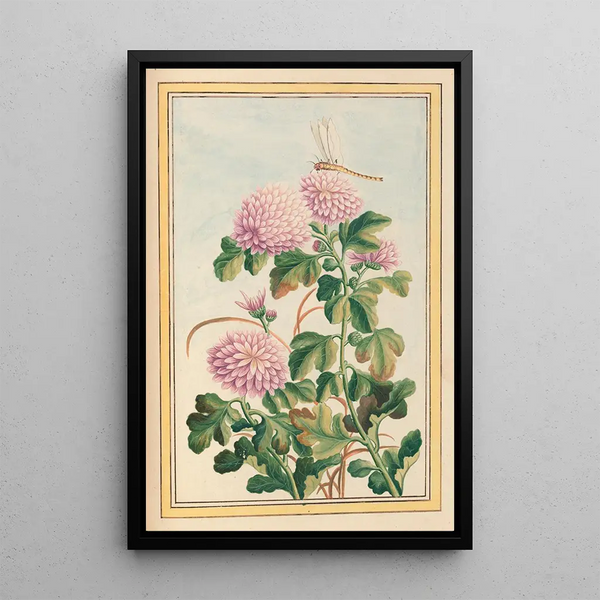 Plants of China Pl074 - Pierre Joseph Buchoz — framed artwork on a wall
