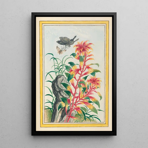 Plants of China Pl076 - Pierre Joseph Buchoz — framed artwork on a wall