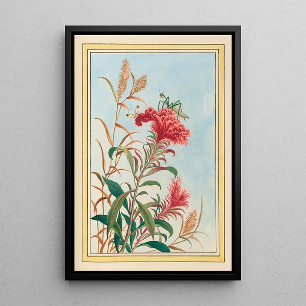 Plants of China Pl077 - Pierre Joseph Buchoz — framed artwork on a wall