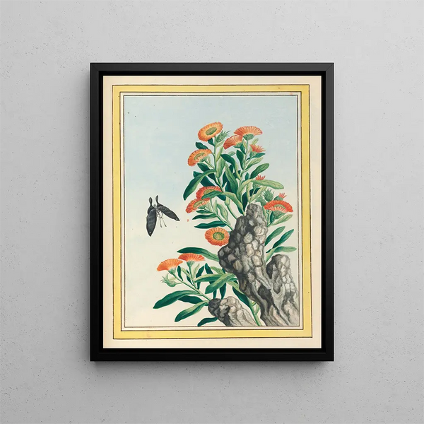 Plants of China Pl.078 - Pierre Joseph Buchoz — framed artwork on a wall