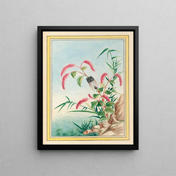 Plants of China Pl.082 - Pierre Joseph Buchoz — framed artwork on a wall