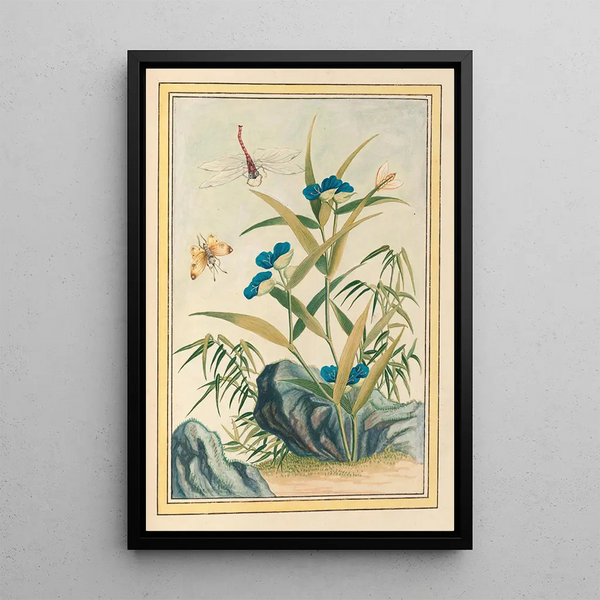 Chinese Plants Painting Pl083 - Pierre Joseph Buchoz — framed artwork on a wall