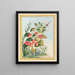 Plants of China Pl.084 - Pierre Joseph Buchoz — framed artwork on a wall