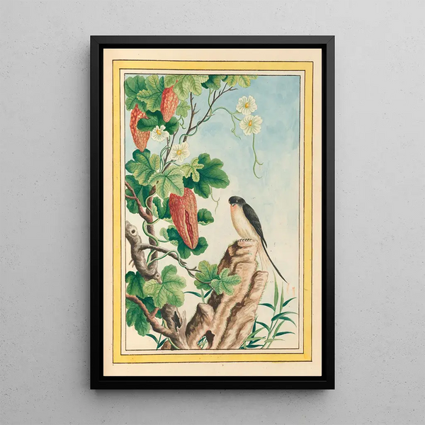 Plants of China Pl085 - Pierre Joseph Buchoz — framed artwork on a wall