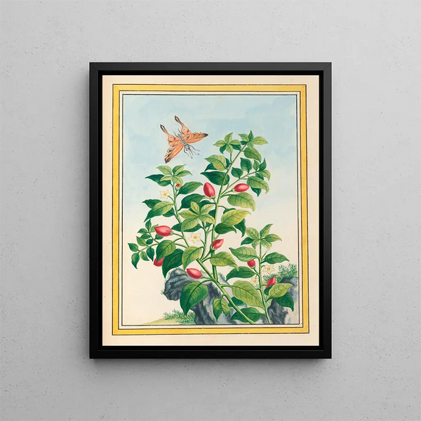 Plants of China Pl.086 - Pierre Joseph Buchoz — framed artwork on a wall