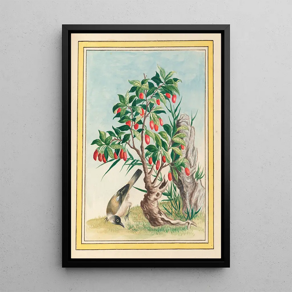 Plants of China Pl087 - Pierre Joseph Buchoz — framed artwork on a wall