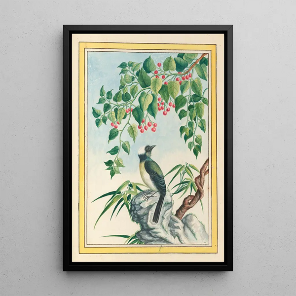 Plants of China Pl090 - Pierre Joseph Buchoz — framed artwork on a wall