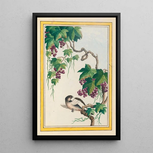 Plants of China Pl091 - Pierre Joseph Buchoz — framed artwork on a wall