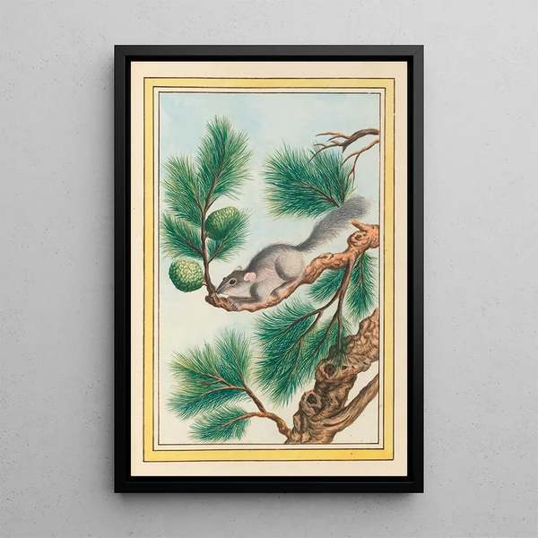 Plants of China Pl093 - Pierre Joseph Buchoz — framed artwork on a wall