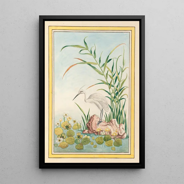 Chinese Plants Painting Pl094 - Pierre Joseph Buchoz — framed artwork on a wall