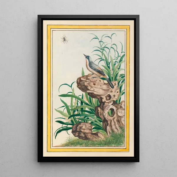 Plants of China Pl095 - Pierre Joseph Buchoz — framed artwork on a wall