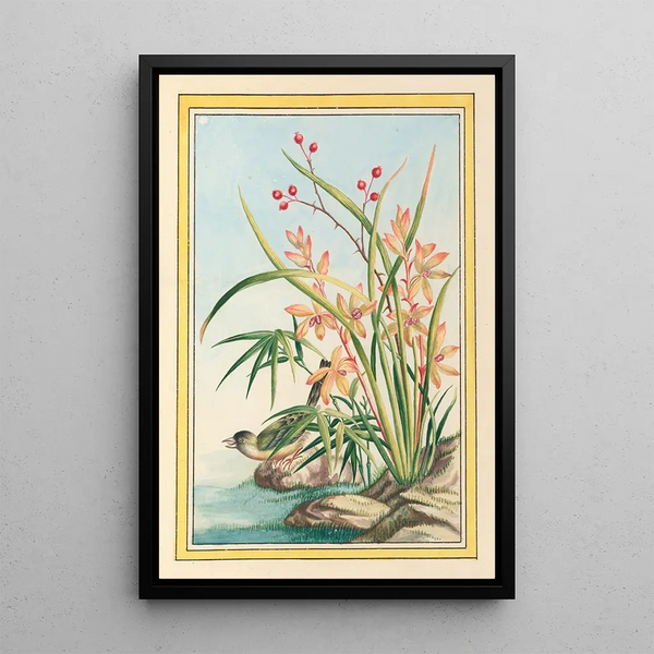 Plants of China Pl097 - Pierre Joseph Buchoz — framed artwork on a wall