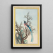 Chinese Plants Painting Pl099 - Pierre Joseph Buchoz — framed artwork on a wall