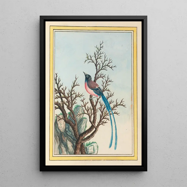 Chinese Plants Painting Pl099 - Pierre Joseph Buchoz — framed artwork on a wall