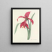 Choix des plus belles fleurs pl 007 - Pierre-Joseph Redouté — framed artwork on a wall
