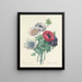 Choice of the Most Beautiful Flowers pl 008 - Pierre-Joseph Redouté — framed artwork on a wall