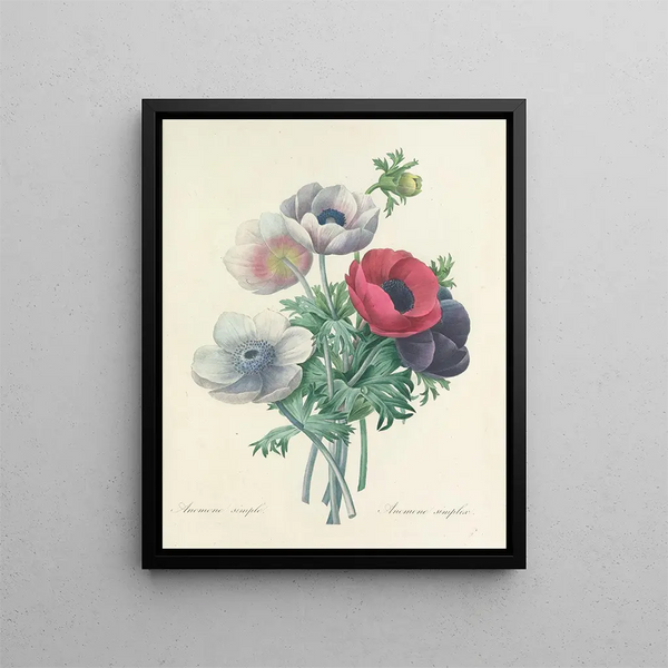 Choice of the Most Beautiful Flowers pl 008 - Pierre-Joseph Redouté — framed artwork on a wall