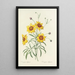 Choice of the Most Beautiful Flowers pl 026 - Pierre Joseph Redouté — framed artwork on a wall