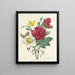 the most beautiful flowers selection pl 037 - Pierre-Joseph Redouté — framed artwork on a wall