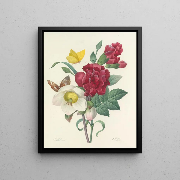 the most beautiful flowers selection pl 037 - Pierre-Joseph Redouté — framed artwork on a wall