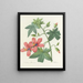 Choice of the most beautiful flowers pl 041 - Pierre-Joseph Redouté — framed artwork on a wall