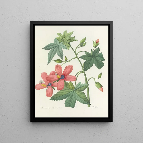 Choice of the most beautiful flowers pl 041 - Pierre-Joseph Redouté — framed artwork on a wall