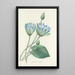 Choice of the Most Beautiful Flowers pl 055 - Pierre Joseph Redouté — framed artwork on a wall
