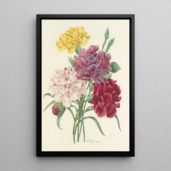 Choice of the Most Beautiful Flowers pl 057 - Pierre Joseph Redouté — framed artwork on a wall