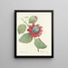 Choice of the most beautiful flowers pl 061 - Pierre-Joseph Redouté — framed artwork on a wall