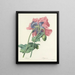 Choice of the most beautiful flowers pl 063 - Pierre-Joseph Redouté — framed artwork on a wall