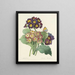Choice of the most beautiful flowers pl 080 - Pierre-Joseph Redouté — framed artwork on a wall
