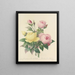 Choice of the most beautiful flowers pl 094 - Pierre-Joseph Redouté — framed artwork on a wall