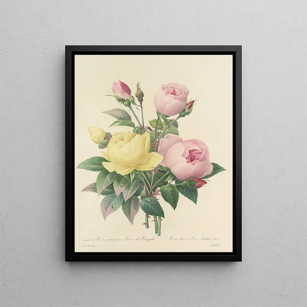 Choice of the most beautiful flowers pl 094 - Pierre-Joseph Redouté — framed artwork on a wall