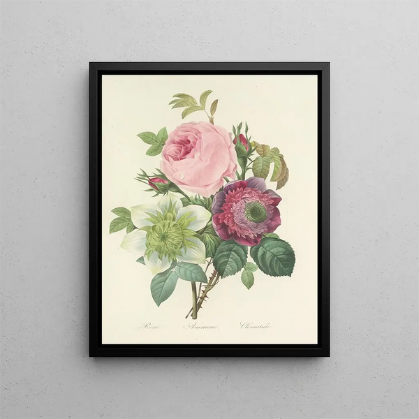 Choice of the most beautiful flowers pl 095 - Pierre-Joseph Redouté — framed artwork on a wall