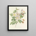 Choice of the most beautiful flowers pl 098 - Pierre-Joseph Redouté — framed artwork on a wall